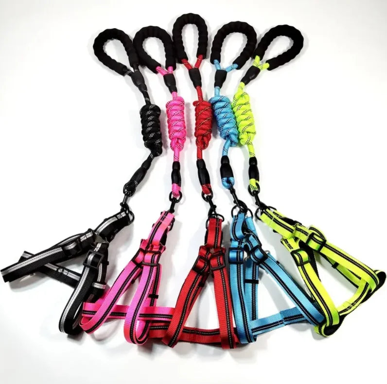 Durable Pet Rope Leash Dog Walking Accessories Dog Harness Elastic Nylon Leash