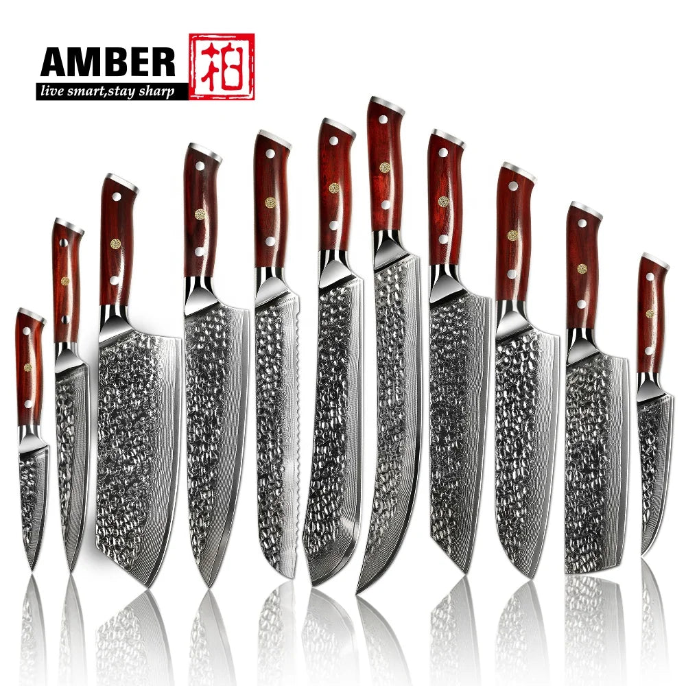 Amber Professional Kitchen Knife Set Japanese VG10 67 Layers Damascus Steel Kitchen Knives Kitchen Knife Set of Wooden Handle