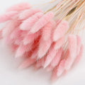 SZ04115 Best Selling Preserved Lagurus Ovatus 20PCS Preserved Bunny Tail Bouquet Dried Preserved Lagurus Flowers