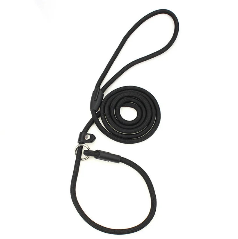 Stocked Cheap Price High Quality Dog Collar and Leash Set P