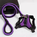 2022 New Trend Pet Comfortable Dog Harness Matching Leash Set and Adjustable Made of Durable Nylon with Padded Feature
