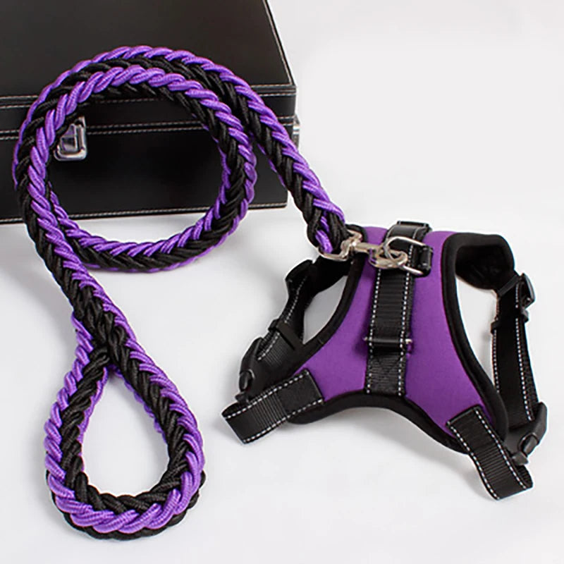2022 New Trend Pet Comfortable Dog Harness Matching Leash Set and Adjustable Made of Durable Nylon with Padded Feature