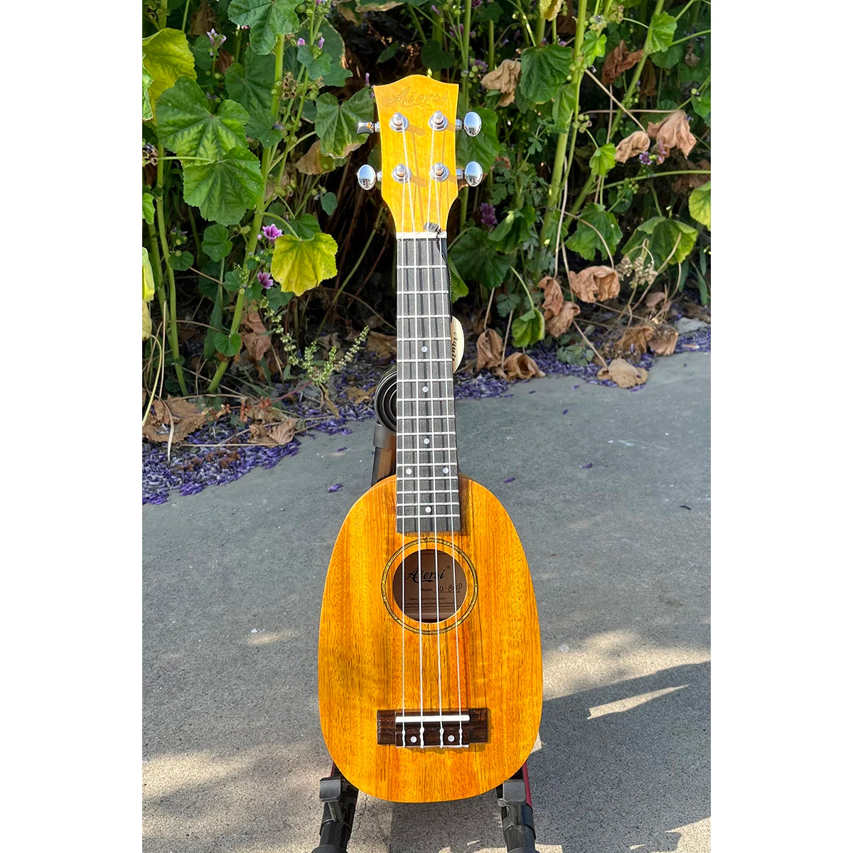 High Grade Aiersi Brand Mango Wood Custom Soprano Pineapple 21 Inch Ukulele China Custom Made Ukelele OEM ODM String InstrumentS