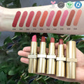 Custom Logo Natural 10-Color High Pigment Vegan Waterproof Matte Lipstick Private Label Nude Lipstick