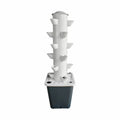 Small Column Soilless Hydroponic Vegetable Grower Hydroponic Column Tower Horticultural Planting of Seedling Home School Project