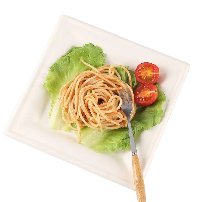 Biodegradable 6 Inch Heavy Duty Square Plate Disposable Compostable Sugarcane Bagasse Plates Food DIsh for Party Dinner Birthday