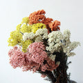 Models Immortal Rice Flower Forest Preserved Flowers Real Bouquet Home Decoration Christmas Gifts Dried Flowers