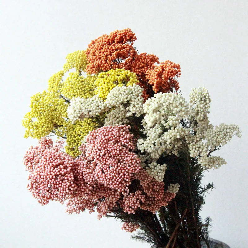 Models Immortal Rice Flower Forest Preserved Flowers Real Bouquet Home Decoration Christmas Gifts Dried Flowers