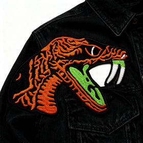 Custom FAMU Rattler HBCU Embroidery Patches Fashion Design Cartoon Embroidery Patches Greek Sorority Iron on