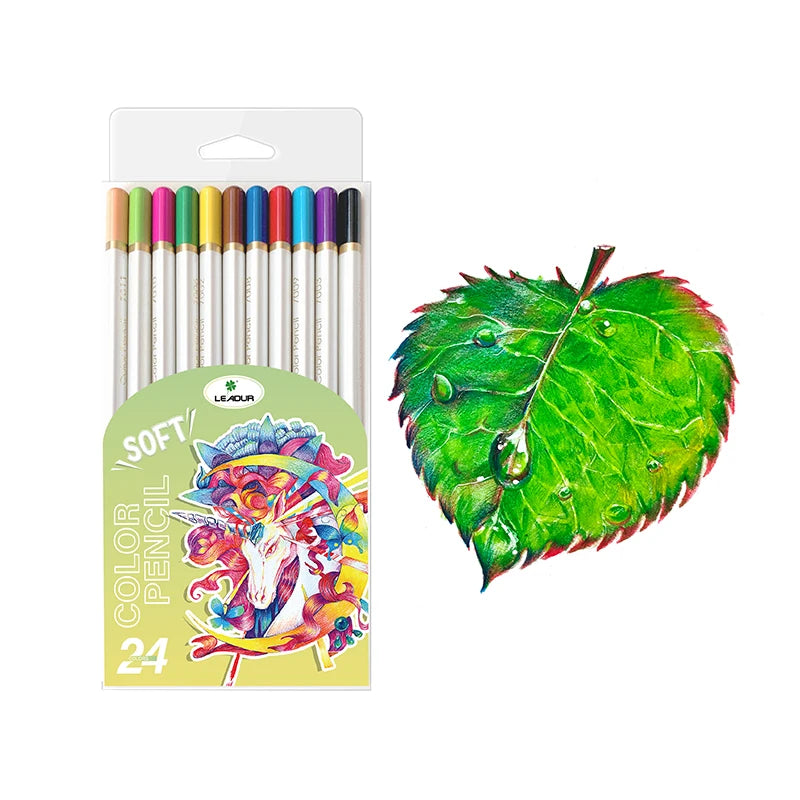 Leadur Pre-sharpened Bass Wood Colored Pencils Kids 24 Colors Plastic Box High Grade Soft Lead 3.0mm EN71/ Certified MegaBDM