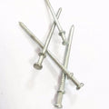 Customized Double Head Nail Galvanized Duplex Nail From Chinese Factory Iron Material with Smooth Shank Type Factory Price