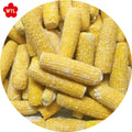 IQF Frozen Sweet Corn on Cob High-quality Available for Wholesale and Retail