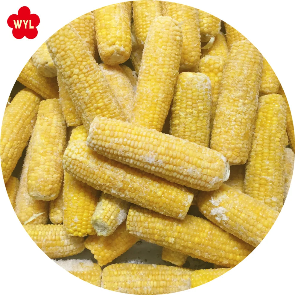 IQF Frozen Sweet Corn on Cob High-quality Available for Wholesale and Retail
