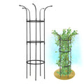 Wholesale Garden Decoration Outdoor Garden Stake Rose Climbing Garden Trellis