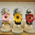 Newest Artificial Sunflower in Glass Dome with Led Light Christmas Festival Valentine's Day Flowers