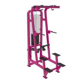 Commercial Pin Loaded Selection Dip/Chin Assisted Chin Pull up Machine for Body Building Assist Dip Chin