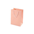 Light Pink Paper Peach Bridesmaid Mini Gift Bags with Tissue Paper