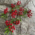 Hot Sale Q-1234 Decorative Christmas Plant Plastic Artificial  Holly Fruit  for   Decoration
