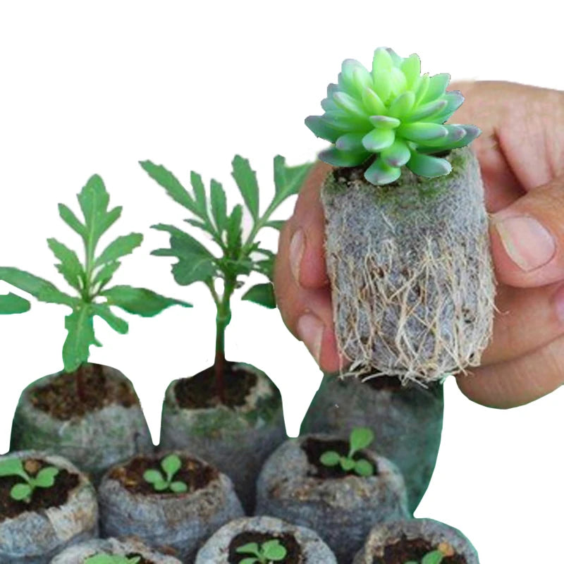 Biodegradable Non-Woven Nursery Bags Solid Plants Grow Bags Fabric Seedling Pots Plants Pouch