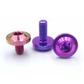 Competitive Price GR5 M6 M8 M10 Titanium Disc BoltsTitanium Fasteners with Different Style Titanium Cnc Bolts Gr5