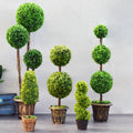 Vv386 New Style Topiary Plant Artificial Plants Artificial Trees Green Plants Bonsai Shopping Mall Hotel Home Coffee Shop Decor