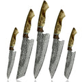 Classic Japanese Hand Forged Carbon Steel 8 Chef Knives Vg10 Damascus Kitchen Knife Set with Wood Handle