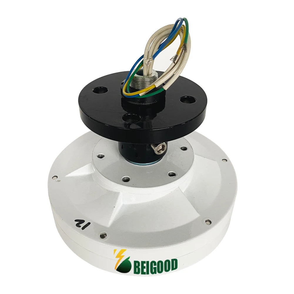 Low RPM Quality 600W Precise Coil 200RPM Coreless Gearless Direct Drive Wind Turbine Generator Outer Rotor Type