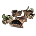 Creative Cement Tree Root Carving Mini Pastoral Flowerpot Succulents Basin Reusable Flower Planter Stump Flower Pot
