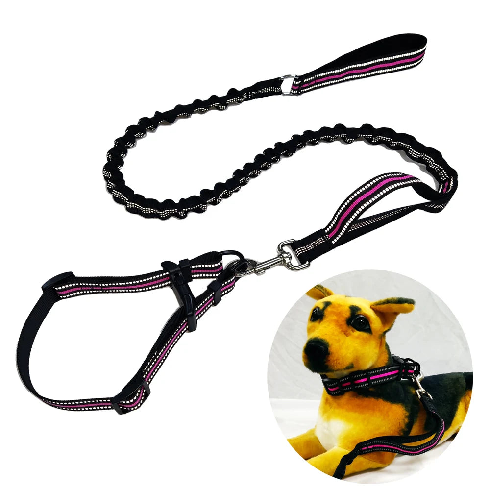 Wholesale Custom Logo Neoprene Handle Elastic Strap Reflective Dog Leash and Collar Set Personalized Pet Walking Gear