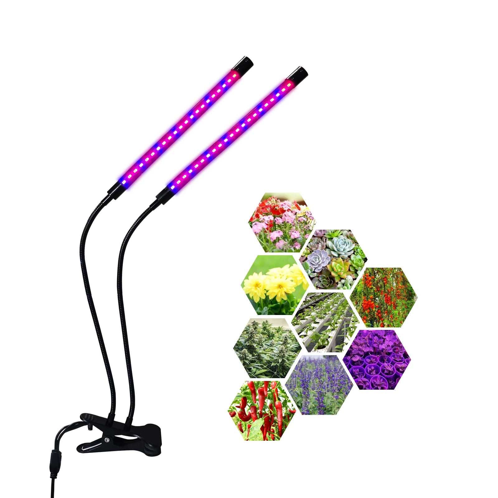 Dual-Head Aluminum LED Grow Light for Hydroponics Vertical Farming Horticulture Indoor Plant Lamps COB Chips Bloom Application