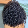 Cheap Price Virgin Raw Vietnamese Human Hair Wigs Unprocessed Glueless Short Afro Kinky Curly Lace Frontal Wig for African Women