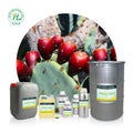 HL - Cold Pressed Fruit Essential Oils Supplier1Kg  Bulk Morocco Prickly Pear Cactus Seed Oil for Face Skin & Hair