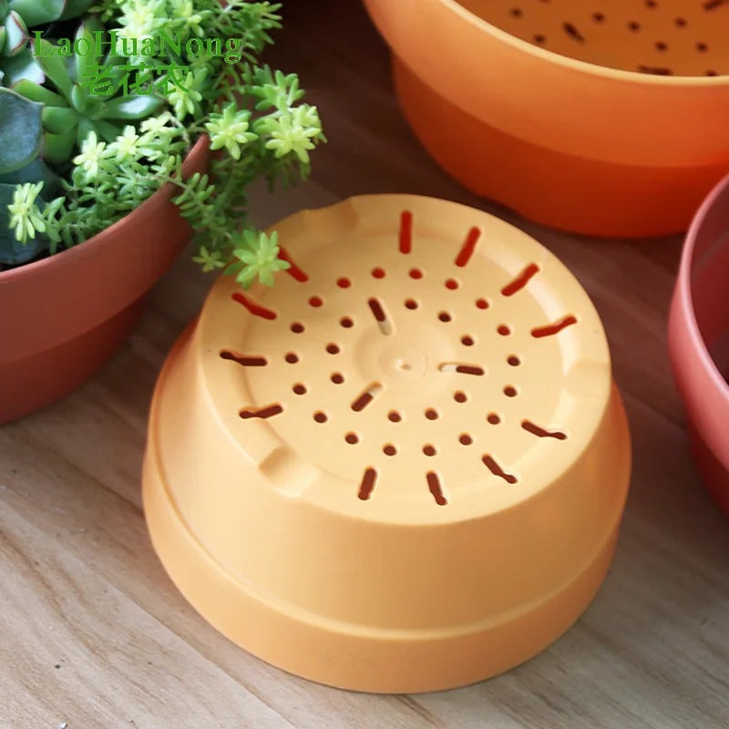 P84 Terracotta Shallow Plant Pot with Drain Hole Clay Flower Pots Plastic Planter for Succulent Cactus Nursery for Garden Use