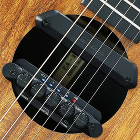 Skysonic R2 RESONANCE Pickup Magnetic Mic Pickup with Reverb Chorus Delay Effect Guitar Pickup with Resonant Speaker
