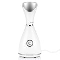 Portable Mini Hot Nano Face Steamer Professional Ionic Facial Steamer for Home Use 300W Power Beauty Device