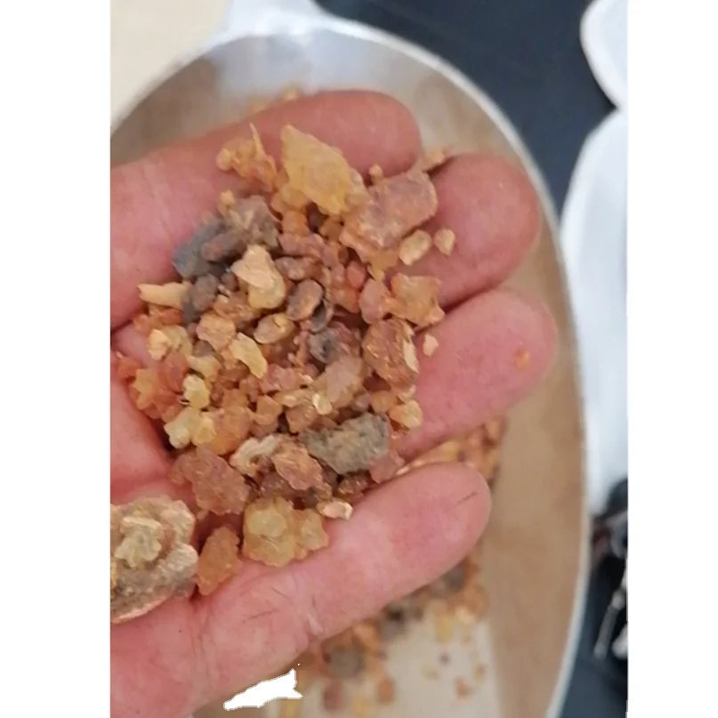 Natural Gum Resins Blocks Guggul Commiphora Mukul Resin