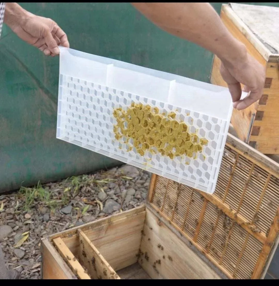 Multi-Function Bee Pollen Frame and Bee Feeder Food Grade Plastic New Condition for Beekeeping Tools