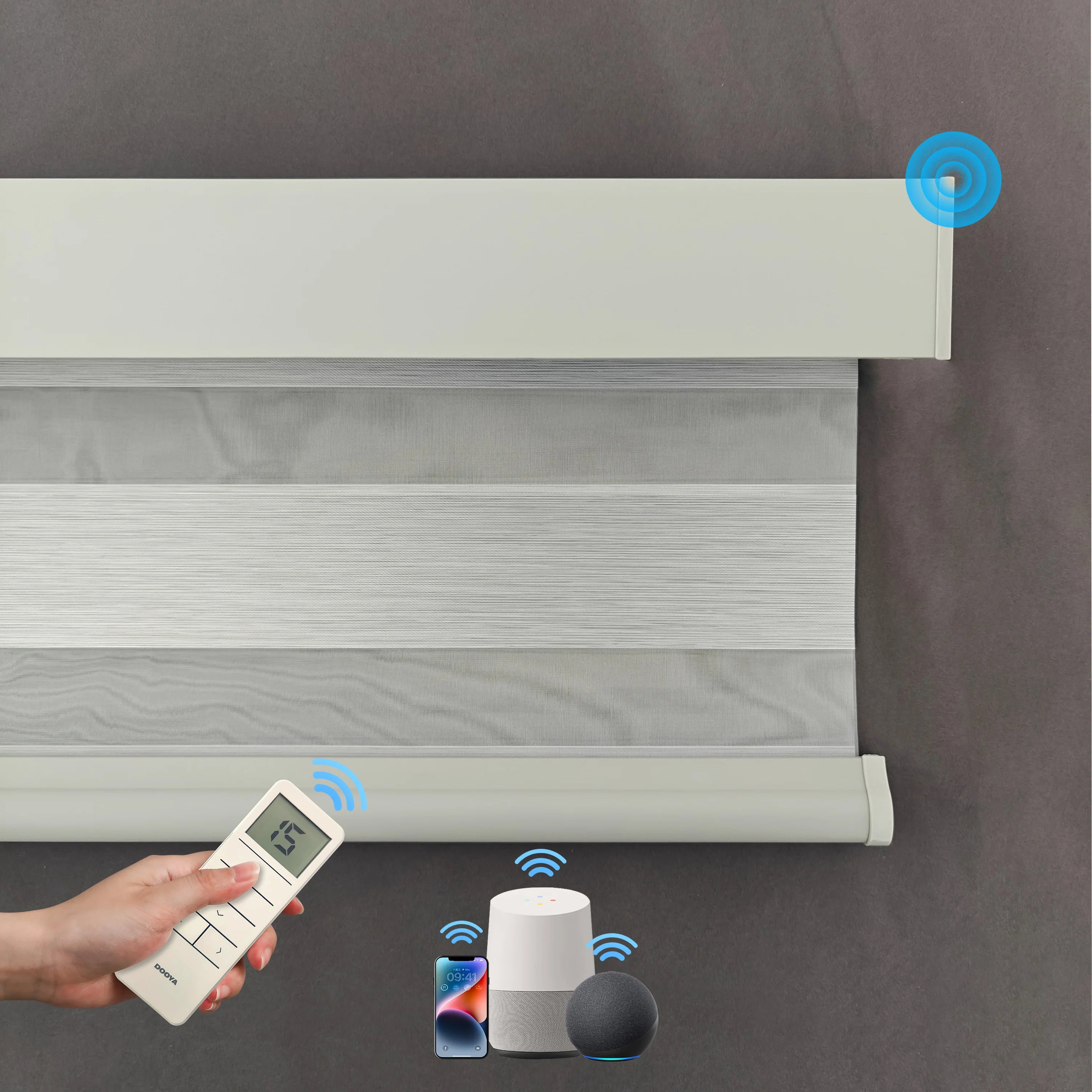 Hot Sale Double Layer Roller in Korea Window Chain Manual Day and Night Motorized Shade Zebra Blinds