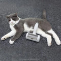 Quality Pet Hair Self Cleaning Roller Brush Safe Plastic Dog Lint Remover Brush for Cats and Dogs