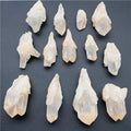 Natural rough clear quartz backbone raw pineapple crystal cluster