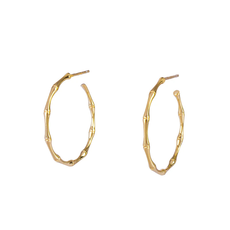 Jewelry Big Hoop Earrings Bamboo Sterling Silver Shape Minimalist Women Picture Round Silver 925 Jewelry 18k Gold Plated /