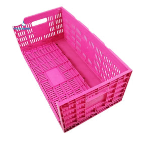 Pink Foldable Food Grade Plastic Mesh Fruit & Vegetable Crate with Storage Box