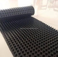 High Strength HDPE Geodrain Drainage Board | Roof Greening & Tunnel Project | Anti-Clogging Design