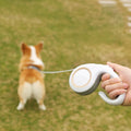 Amz Hot Sale Pet Dog Teddy Automatic Retractable Leash Cat Dog Leash 3m 5m Outdoor Dog Walking Leash