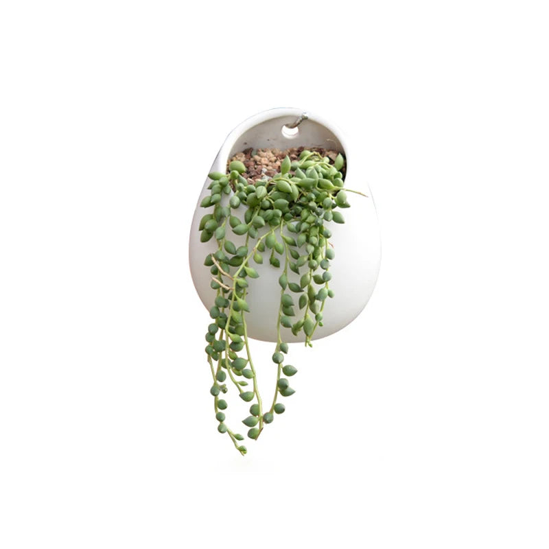 Modern Ceramic White Succulent Plant Pots Set New Popular Indoor/Outdoor Cactus Planter Flower Pots for Home Garden Decoration