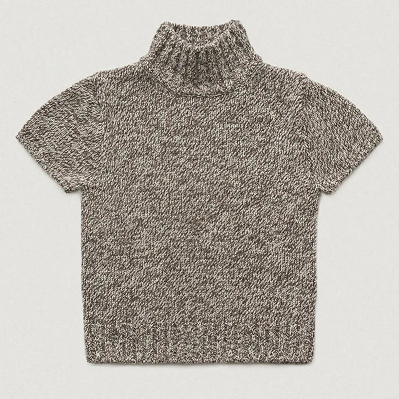 Melange Thick Collar Korean Knitted Tops High Neck Wool Sweater