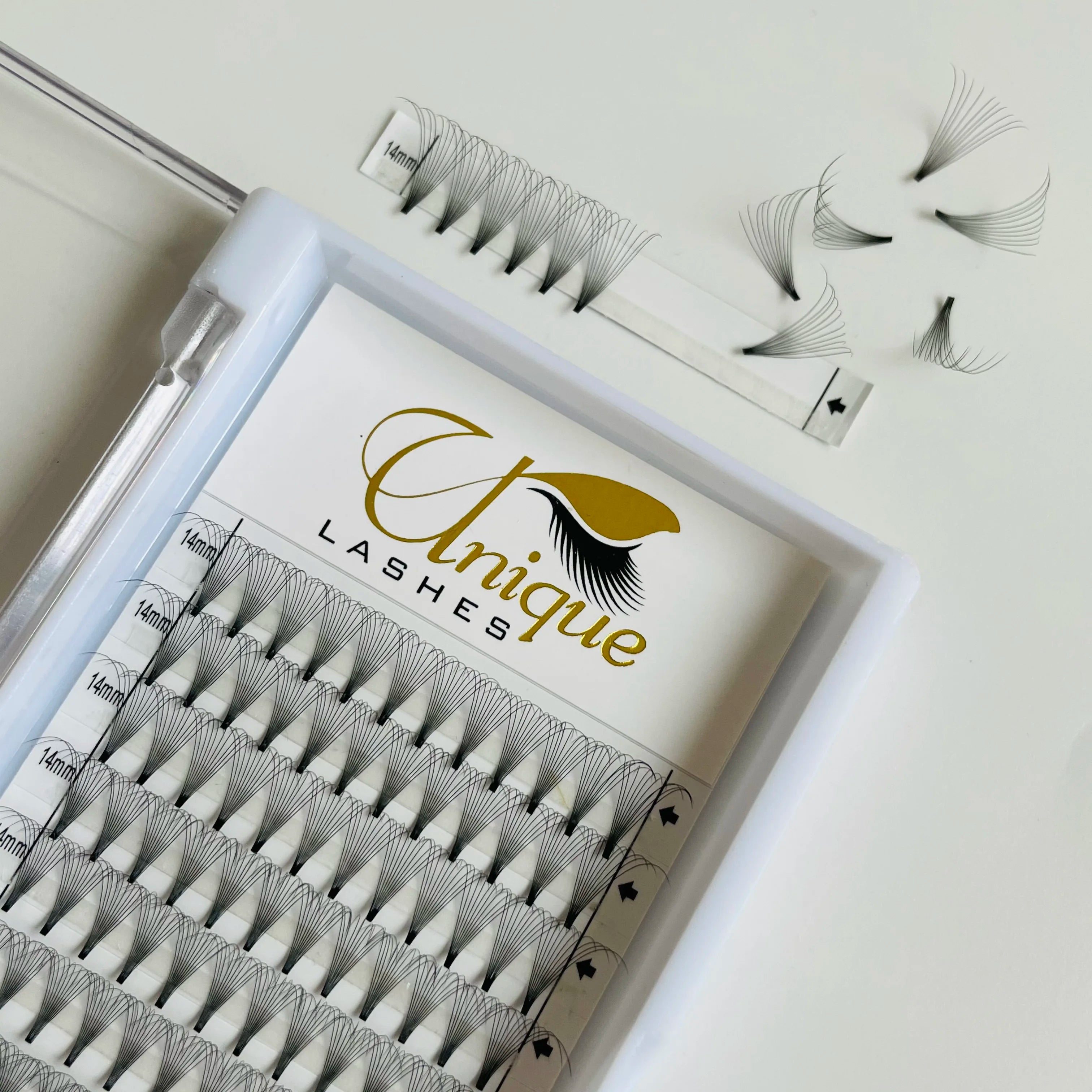 Bulk 3D 4D 5D 6D 10D 20D Pointy Premade Volume Fans C D CC DD L Curl Fans Lashes Extension Premade Fans