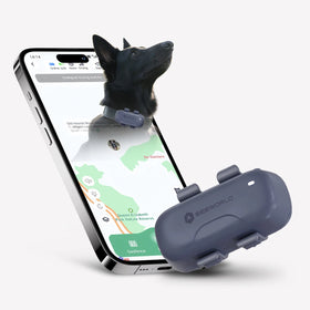 Long Battery Life GPS Tracker for Cats Dogs Waterproof IP67 Real Time Satellite Tracking 4G Network Supports Beidou Glonass LBS