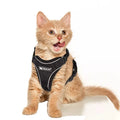 Best Selling for TAILUP Sport Style Adjustable Vest Harness for Cats Breathable with Reflective Feature Solid Pattern