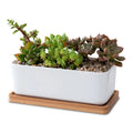 Rectangular Ceramic Succulent Planter Pot with Drainage Hole 6.5\" White Shallow Bamboo Saucer Dropship for Home Garden Use